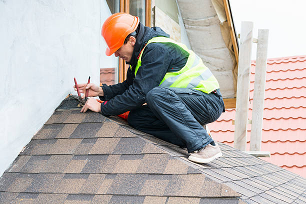 Best Storm Damage Roof Repair  in Faribault, MN